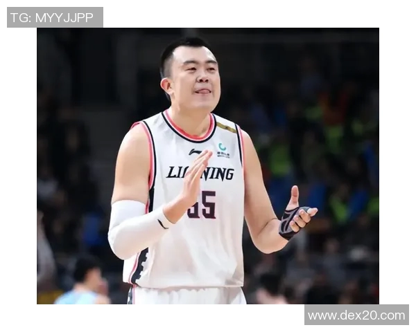 辽宁男篮面临伤病困扰韩德君张镇麟状态堪忧杨鸣战术调整迫在眉睫